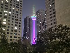 -辽宁电视塔