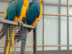 -南宫五洲植物乐园