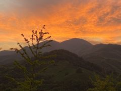 -大余丫山旅游度假区