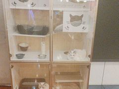 -老炮儿轰趴团建KTV桌游棋牌主题馆(五道口店（底商店))