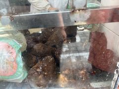 -上海牛羊肉公司塘沽路清真门市部