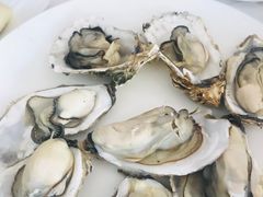 -渔民船说·北塘海鲜·天津菜·海肠捞饭(北塘古镇店)