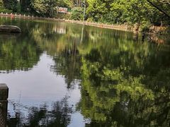 -人民公园(罗湖区)