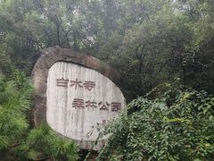 -白水寺森林公园