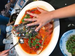 -坛宗剁椒鱼头(河西王府井店)