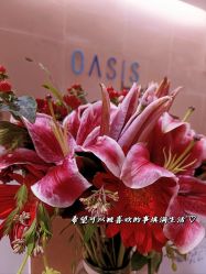 -Oasis Beauty水磨坊科技美肤中心