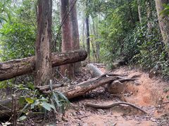 -火炉山森林公园