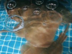 -宾朋海鲜饭庄(兴海路店)