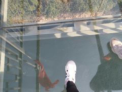 -石燕湖生态旅游景区