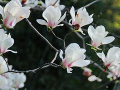 -成都杜甫草堂博物馆