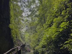 -青城山