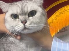 -嘉馨宠物医院·CT影像转诊·心脏科·犬猫全科诊疗中心(下沙大学城院区)