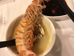 -鲜入围煮花胶鸡海鲜火锅