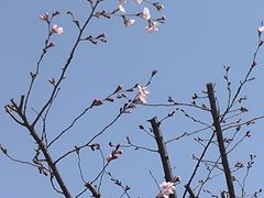 -上海海事大学(临港校区)