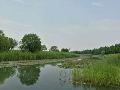 -太湖湖滨国家湿地公园-停车场