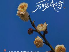 -无锡梅园公园