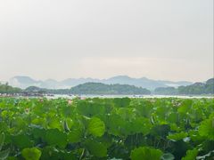 -北山街历史文化街区