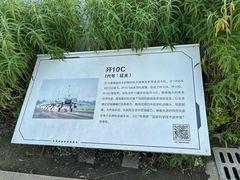 -成飞公园