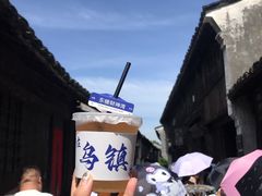 -乌镇东栅景区