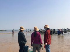 -巧克力渔家.小船海鲜胶东菜(万平口店)