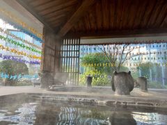 -中家鑫园温泉酒店鑫悦汤泉