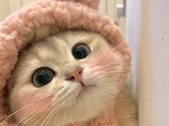 -地锅印象(兴宁北路店)