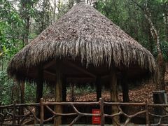 -沧源崖画