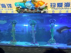 -成都浩海立方海洋公园