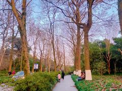 -杭州植物园