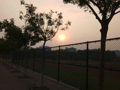 -南开大学滨海学院