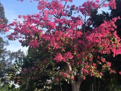 -李记热干面· 襄阳牛肉面