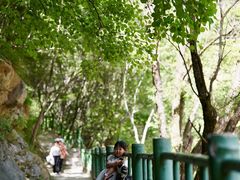 -少华山国家森林公园