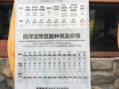 -白洋淀景区