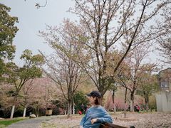 -堤角公园