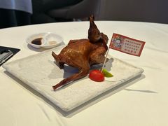 -侨美食家·40年地道粤菜(珠江新城店)