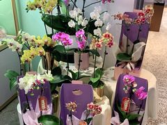 -EPOQUE·一刻花店(兴业太古汇店)