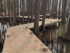 -东湖落雁景区