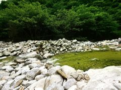 -秦岭终南山世界地质公园翠华山景区