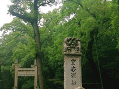 -灵谷景区