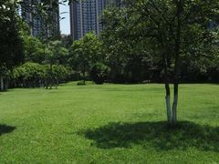 -温江公园