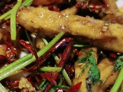 -俭寨大盘鸡·手抓肉·烧烤新疆菜(乌苏路店)