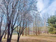 -仁和公园(顺义区)