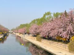 -海棠花溪(元大都城垣遗址公园)