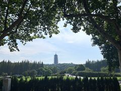 -宜兴龙背山森林公园
