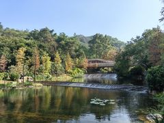 -云溪植物园
