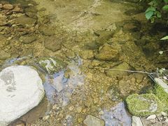 -秦岭风景区