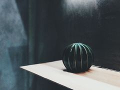 -素匠泰茶(三里屯SOHO工体奶茶店)