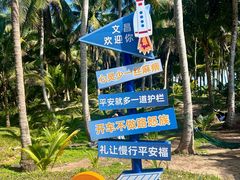 -东郊椰林