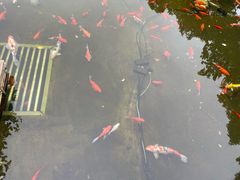 -长阳创谷