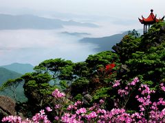 阳岭之巅望向雄视亭-江西阳明山国家森林公园